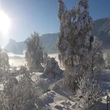 Gemuetliche Alpenwohnung In Lejlighed *