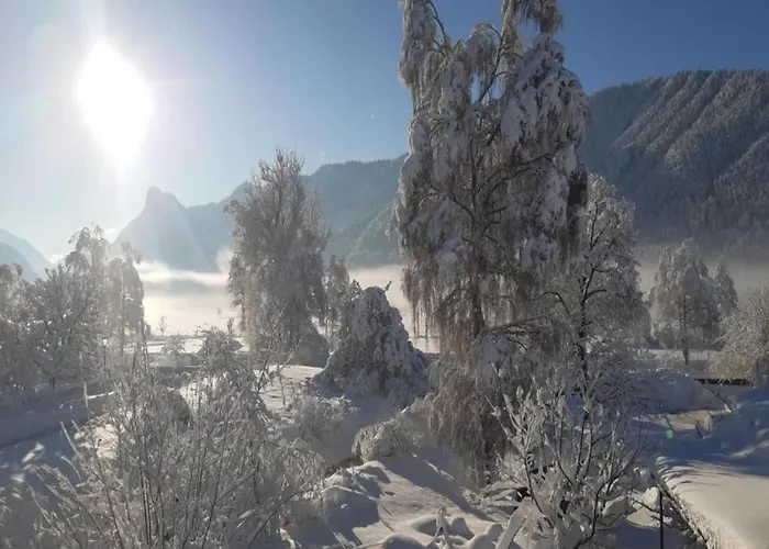 Gemuetliche Alpenwohnung In Lejlighed *