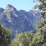 Gemuetliche Alpenwohnung In Apartamento