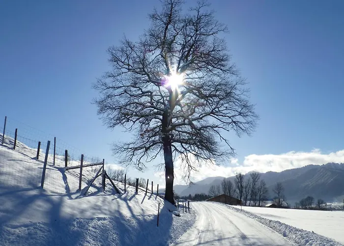 Gemuetliche Alpenwohnung In Altenau Daire Altenau (Bavaria)