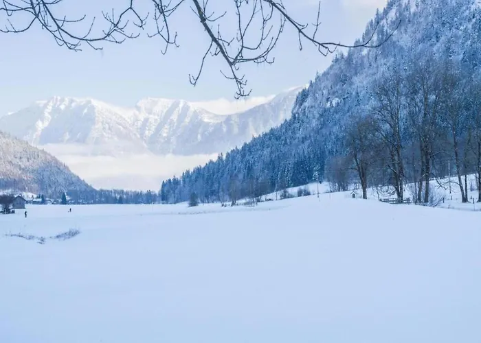 Gemuetliche Alpenwohnung In * Altenau (Bavaria)