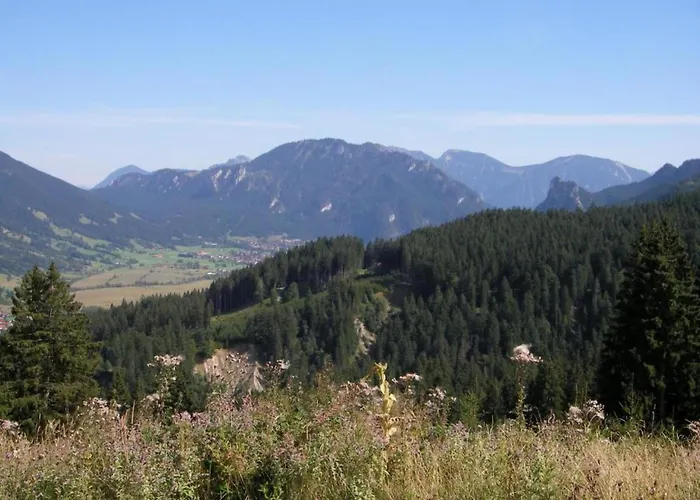 Gemuetliche Alpenwohnung In Altenau (Bavaria)